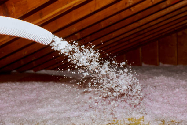 Best Crawl Space Insulation  in Spring Lake Park, MN