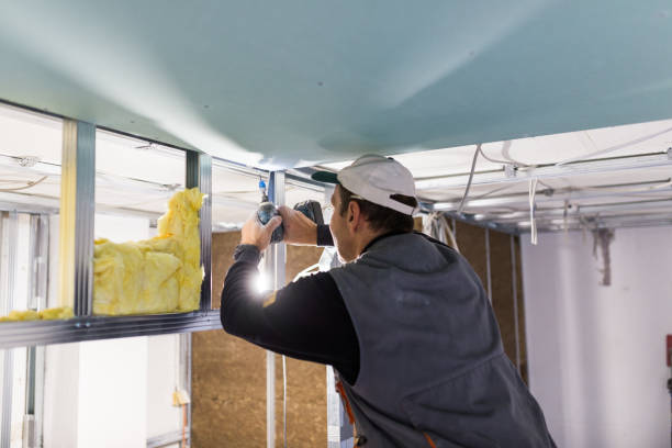 Insulation Contractors for Homes in Spring Lake Park, MN