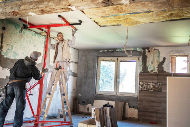 Insulation Replacement Services in Spring Lake Park, MN