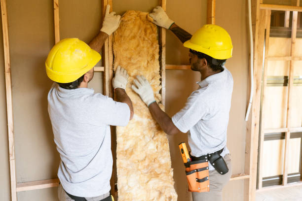 Best Attic Insulation Installation  in Spring Lake Park, MN