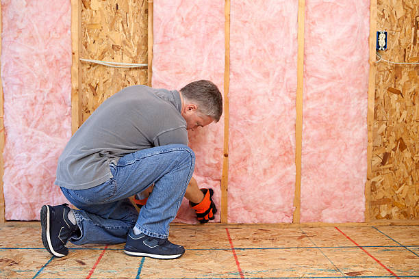 Best Commercial Insulation Contractor  in Spring Lake Park, MN