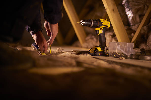 Best Best Insulation Companies  in Spring Lake Park, MN
